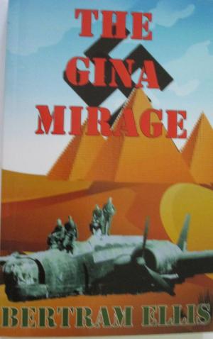 Book cover of The GINA Mirage