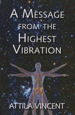 Book cover of A Message From The Highest Vibration