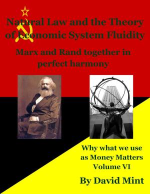 Book cover of Natural Law and the Theory of Economic System Fluidity