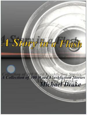 Book cover of A Story in a Flash: A Collection of 300 Word Flashfiction Stories