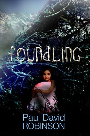 bigCover of the book Foundling by 
