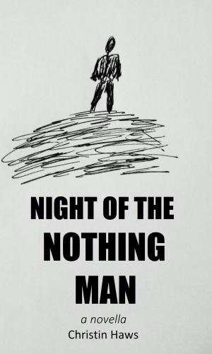 Book cover of Night of the Nothing Man