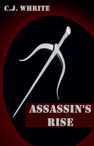 Cover of the book Assassin's Rise by Jeanne Marcella