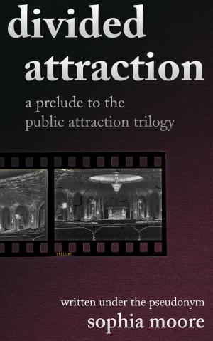 Cover of the book Divided Attraction by Edie Harris