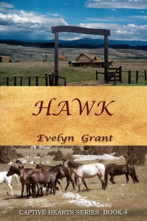 Cover of the book Hawk by M. A. T. Blackthorne