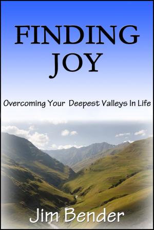 Cover of the book Finding Joy by Meadows Niki