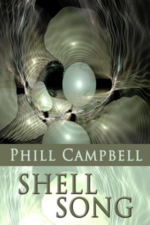 Cover of the book Shell Song by Amanda Kay