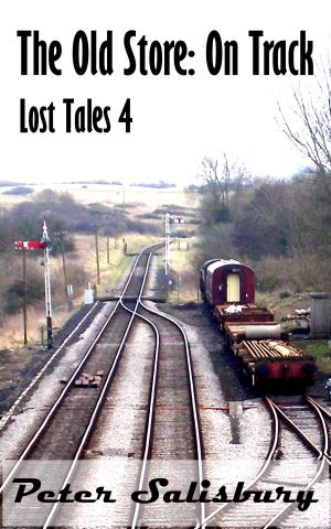 Book cover of On Track (The Old Store Lost Tales: 4)