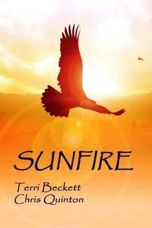 Book cover of Sunfire