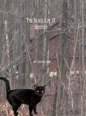 Cover of the book The Black Cat 2: Destiny by Geoff St. Reynard