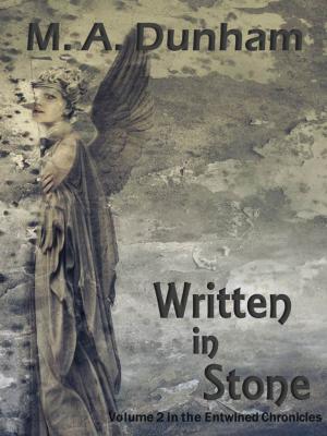 Cover of the book Written in Stone by Connie Wesala