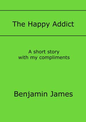 Cover of the book The Happy Addict by S.M. Knowles