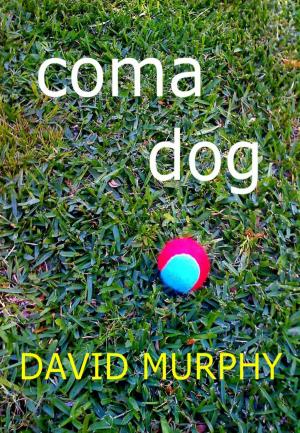 Book cover of Coma Dog