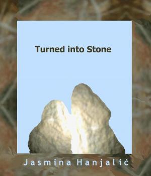 Cover of the book Turned into Stone by Rizah Pasalic
