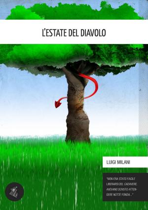 Book cover of L'Estate del diavolo