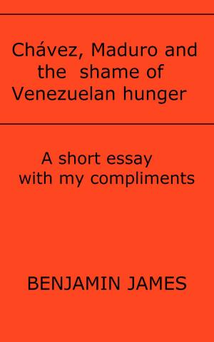Cover of the book Chávez, Maduro and the shame of Venezuelan hunger by Dorothy Johnston