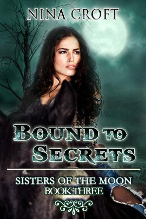 Cover of the book Bound to Secrets by Deanndra Hall, Jax Jillian, Anne L. Parks