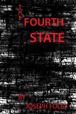 Cover of the book The Fourth State by MJ Jones