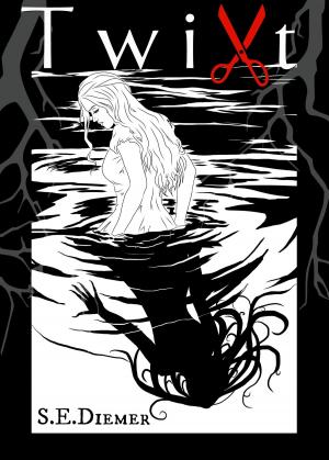 Book cover of Twixt