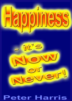 Cover of the book Happiness: it's Now or Never by Robina Adamson