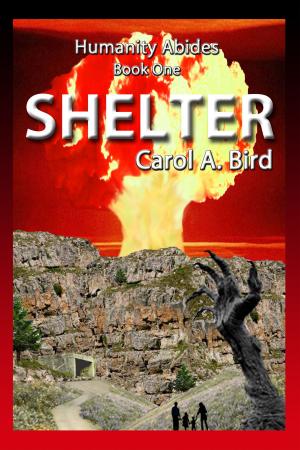 Cover of the book Shelter by David Marusek