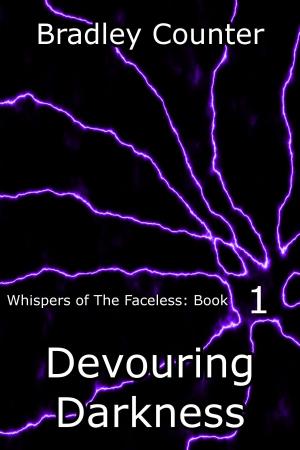 bigCover of the book Devouring Darkness by 