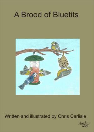 Cover of the book A Brood of Bluetits by Antonio Gálvez Alcaide