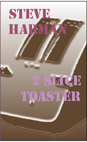 Cover of the book 2 Slice Toaster by Ed McBain