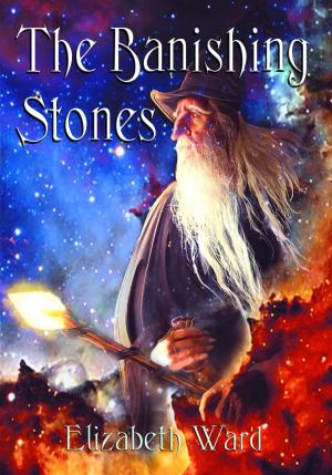 Book cover of The Banishing Stones