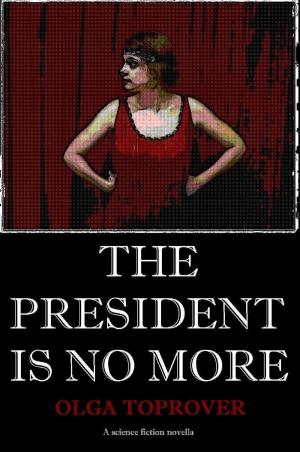 Cover of the book The President is No More by Michael Daniels