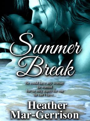 Cover of the book Summer Break by jamieayque