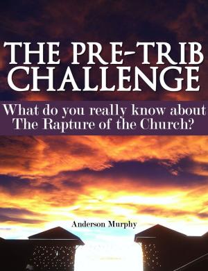 bigCover of the book The Pre-Trib Challenge by 