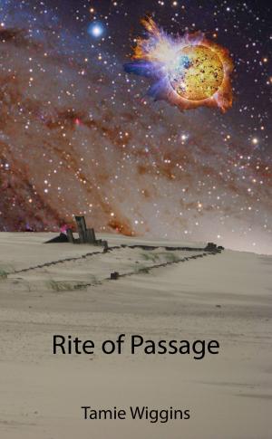 Cover of the book Rite of Passage by John Brinling