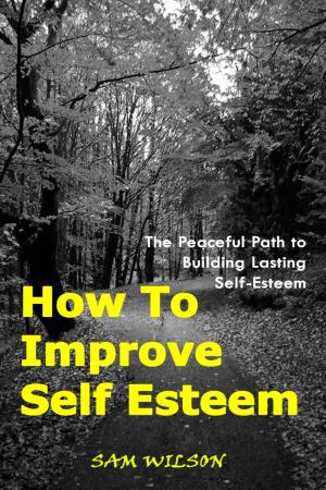 Book cover of How To Improve Self-Esteem: The Peaceful Path to Building Lasting Self-Esteem