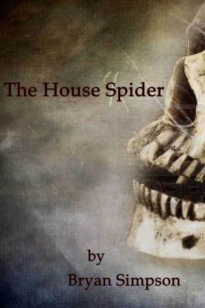 Book cover of The House Spider
