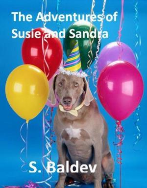 Book cover of The Adventures of Susie and Sandra