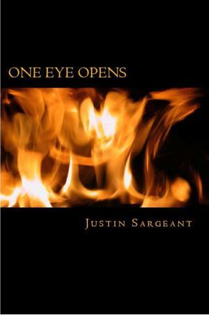 bigCover of the book One Eye Opens by 