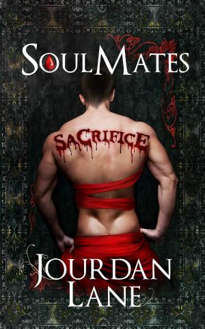 Book cover of Soul Mates: Sacrifice