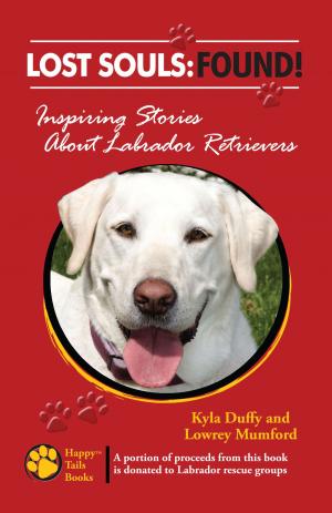 Book cover of Lost Souls: Found! Inspiring Stories about Labrador Retrievers