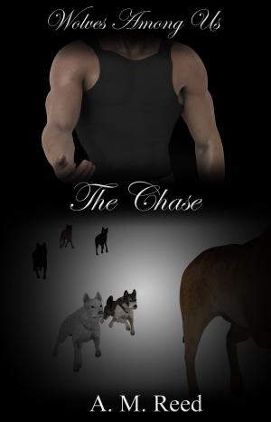 Book cover of The Chase