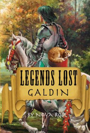 Cover of Legends Lost Galdin