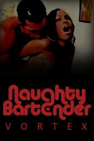 Cover of Naughty Bartender