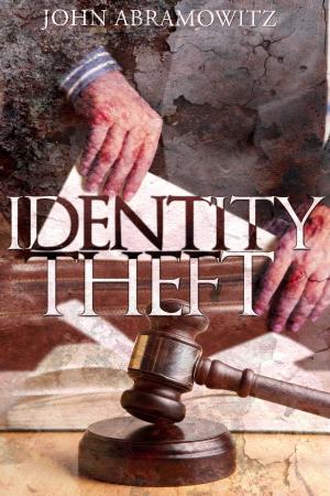 Cover of the book Identity Theft by Ronald Feldman