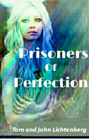 bigCover of the book Prisoners of Perfection: An Epic Fantasy by Tom Lichtenberg and Johnny Lichtenberg by 