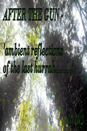 Book cover of After The Gun: 'ambient reflections of the last hurrah'.........