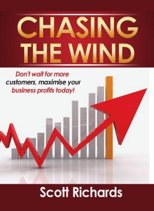 Cover of the book Stop Chasing The Wind by Mike Ferrell