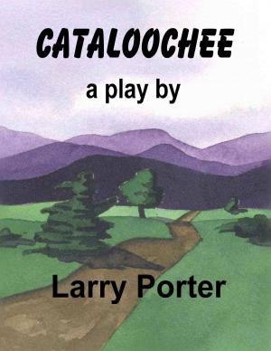 Book cover of Cataloochee