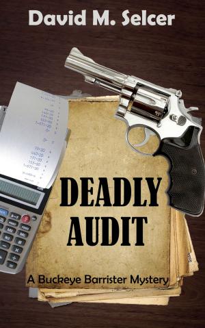 bigCover of the book Deadly Audit by 
