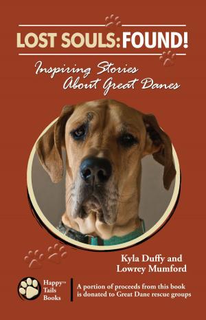 Cover of the book Lost Souls: Found! Inspiring Stories About Great Danes by Kyla Duffy