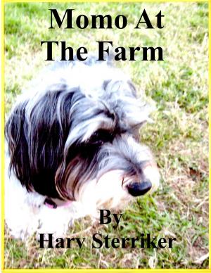 Cover of the book Momo At The Farm by David Goossen